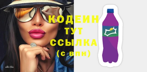 прущие грибы Алзамай