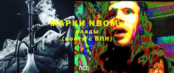 прущие грибы Алзамай