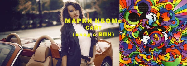 прущие грибы Алзамай