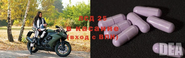 прущие грибы Алзамай