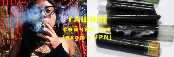 прущие грибы Алзамай