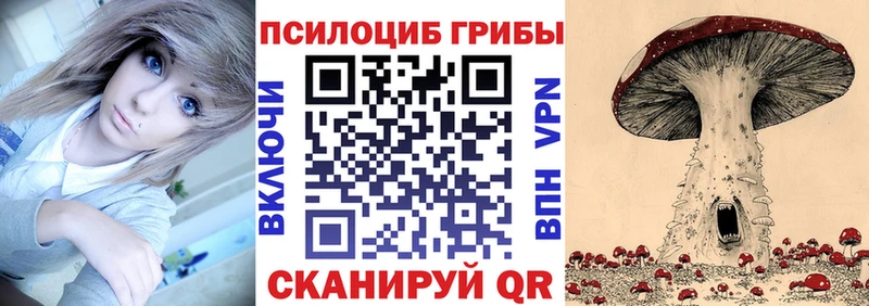 Псилоцибиновые грибы прущие грибы  Арамиль 